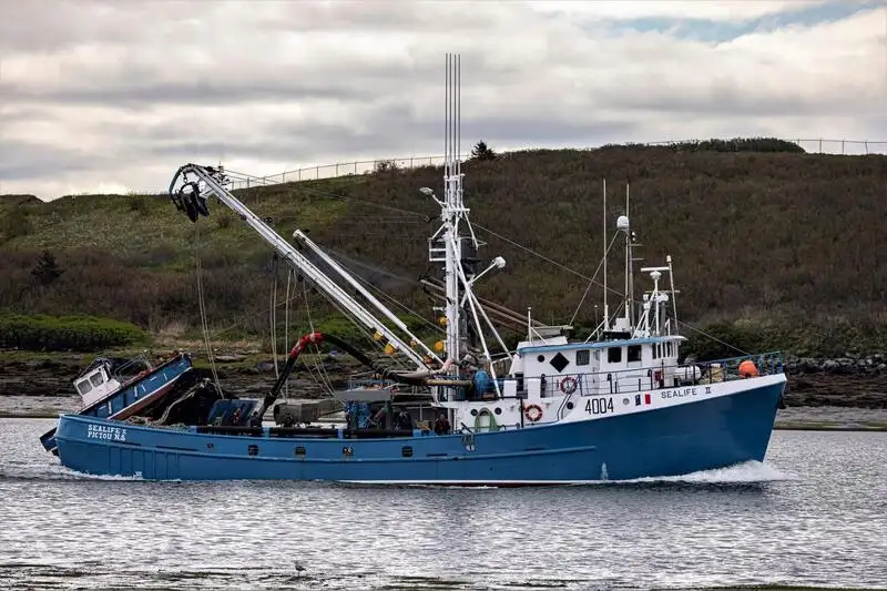 Purse seiner for sale
