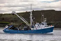 Purse seiner for sale