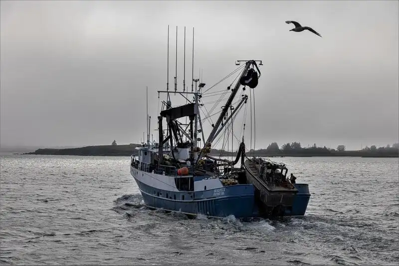 Purse seiner for sale