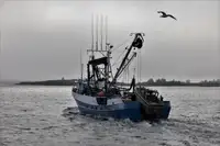 Purse seiner for sale