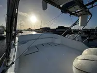 Catamaran for sale