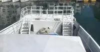 Catamaran for sale