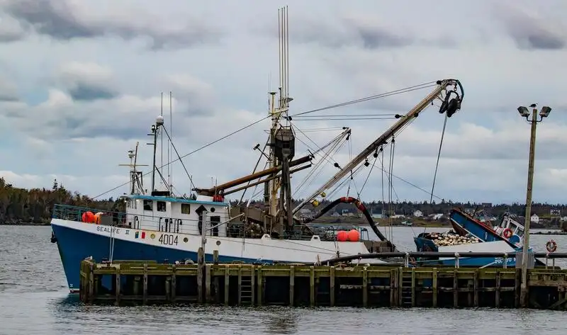 Purse seiner for sale