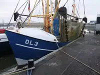 Trawler for sale