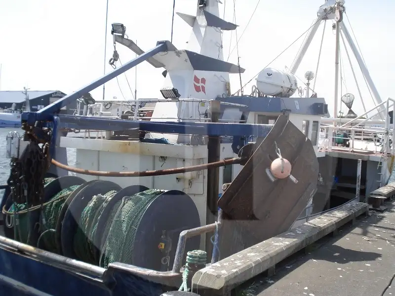 Live fish carrier for sale