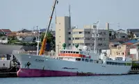 Trawler for sale