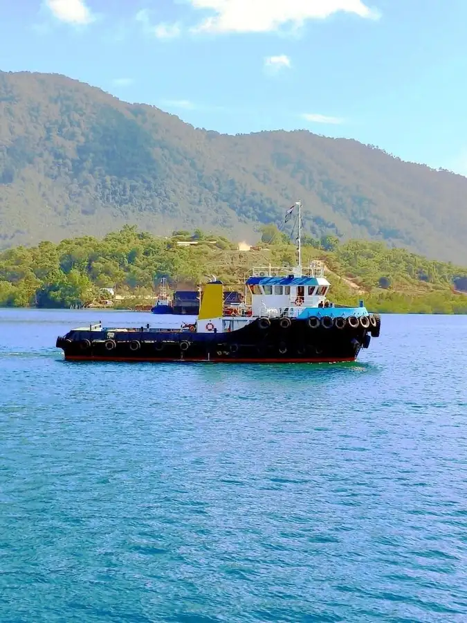Towboat for sale