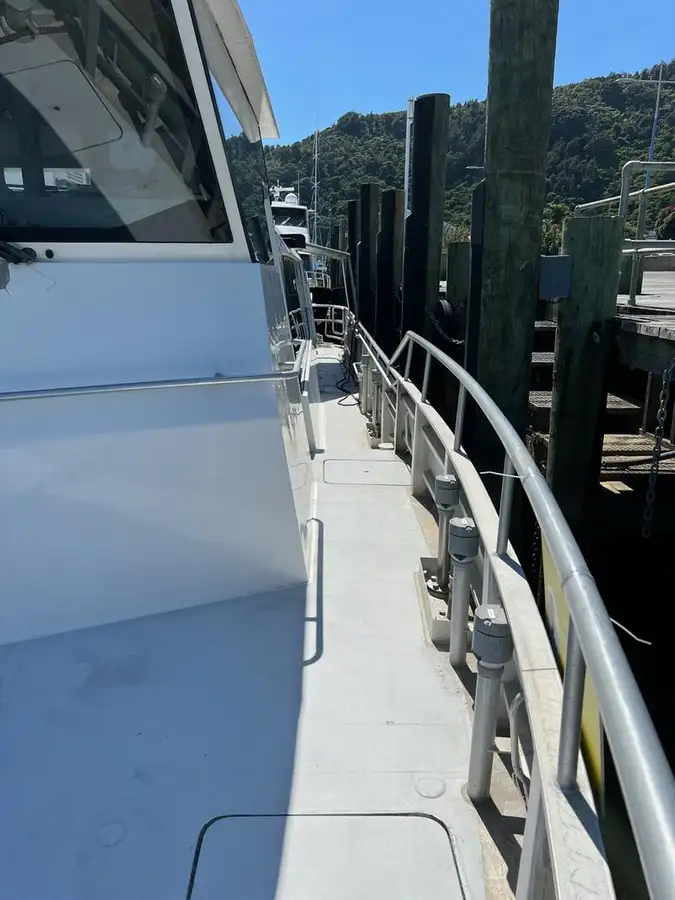 Catamaran for sale