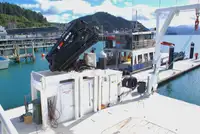 Catamaran for sale