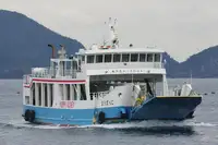 Ro-Ro ship for sale