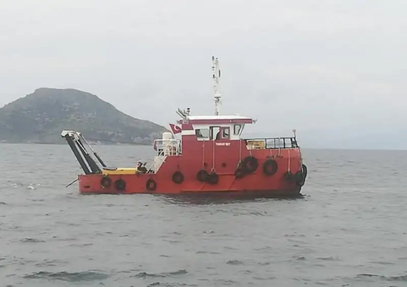 Towboat for sale