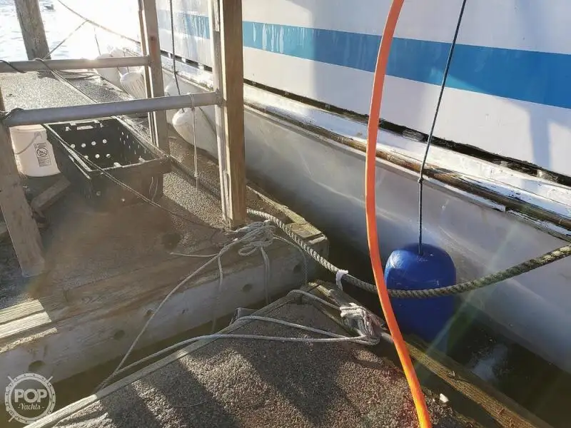 Ferry vessel for sale