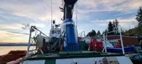 Towboat for sale