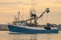 Purse seiner for sale