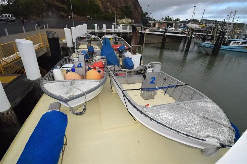 Cutter for sale