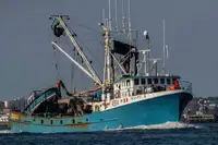Purse seiner for sale