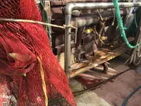 Trawler for sale