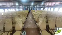 Ro-Ro ship for sale