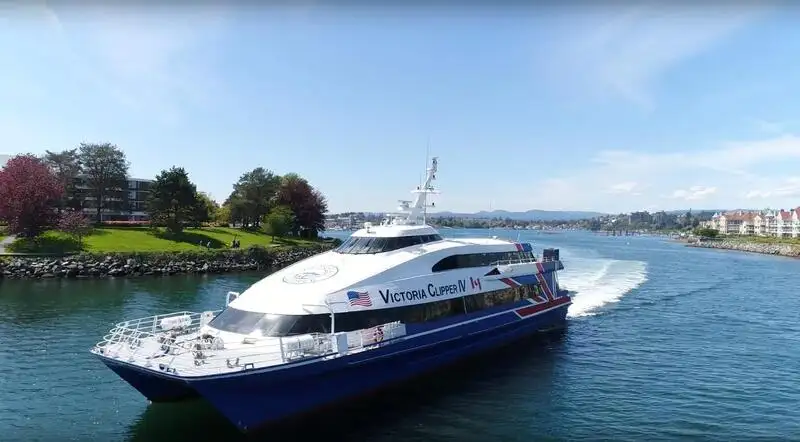 Catamaran for sale