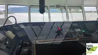 Ro-Ro ship for sale