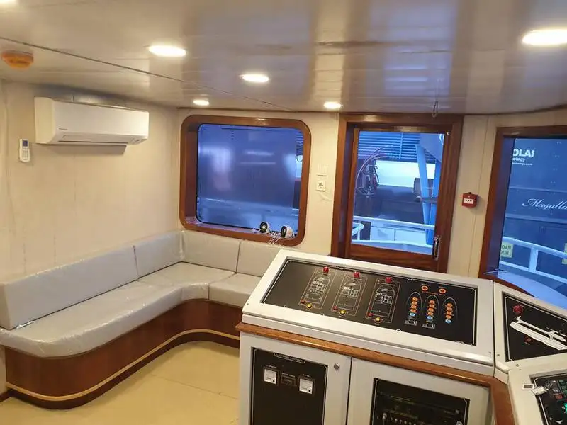 Cruise ship for sale