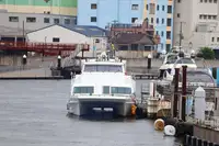 Cruise ship for sale
