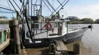 Trawler for sale