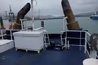 Towboat for sale