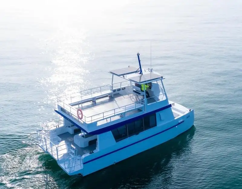 Catamaran for sale