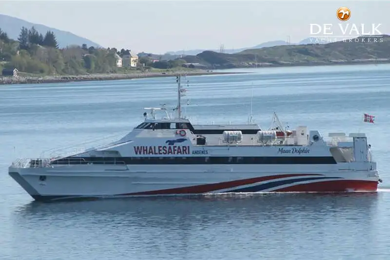 Catamaran for sale