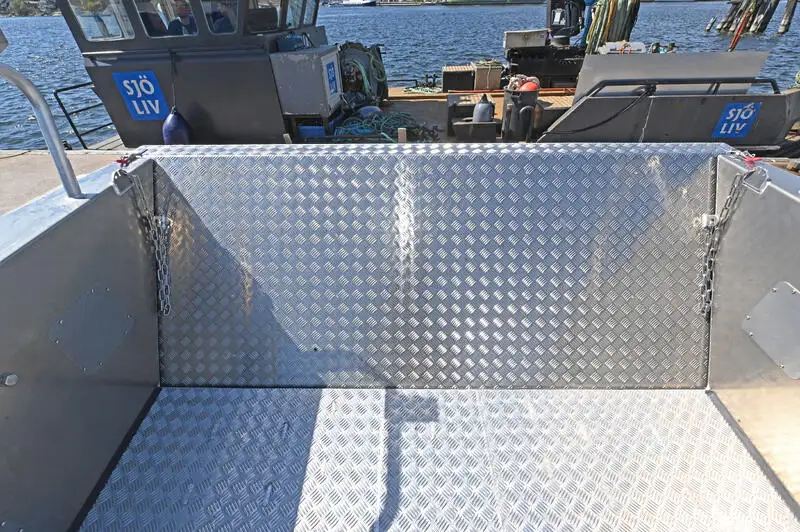 Catamaran for sale