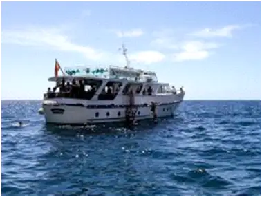Cruise ship for sale