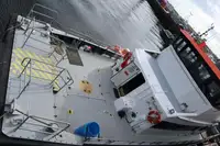 Catamaran for sale