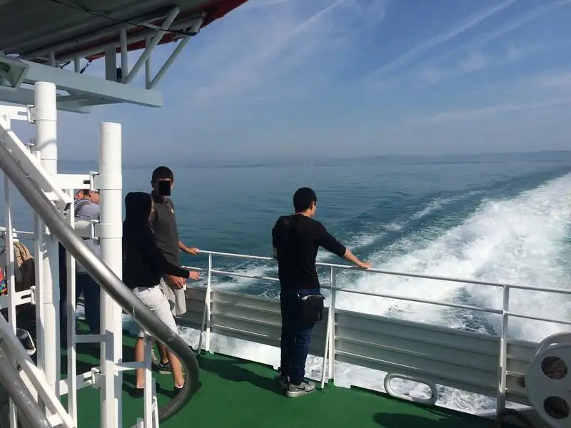 Cruise ship for sale