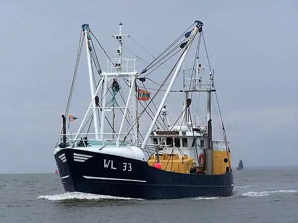 Trawler for sale