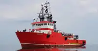 Reefer ship for sale