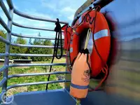 Catamaran for sale