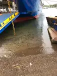 Ro-Ro ship for sale