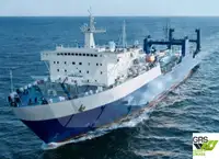 Ro-Ro ship for sale