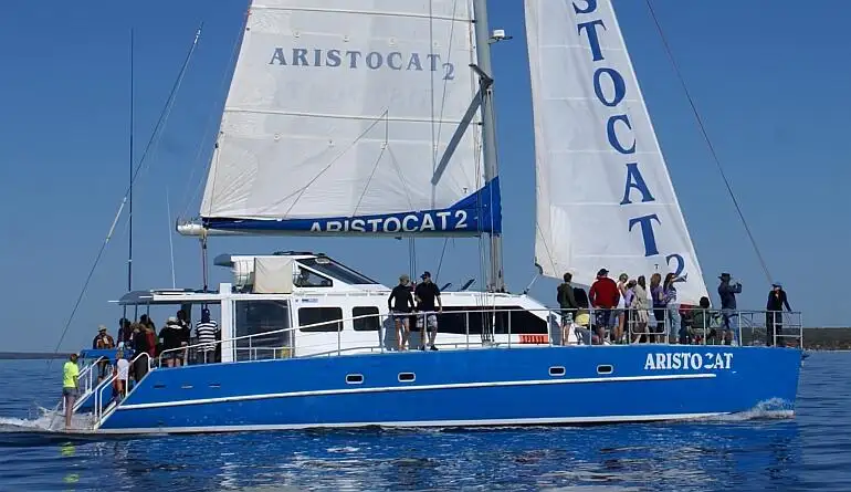 Catamaran for sale