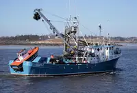 Purse seiner for sale
