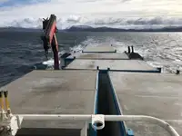 Workboats for sale
