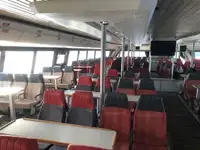 Catamaran for sale