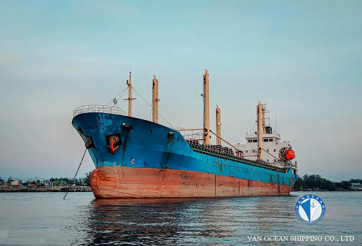 Reefer ship for sale