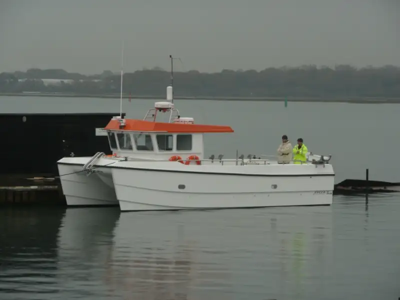Catamaran for sale