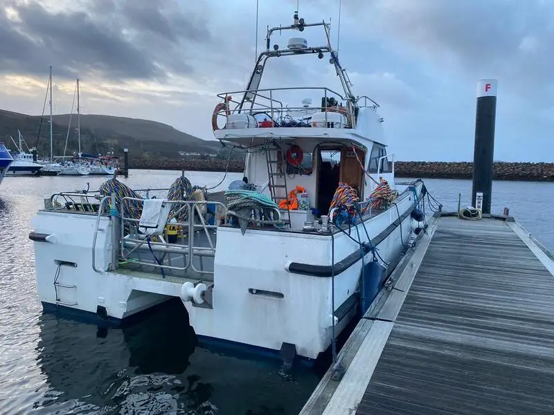 Catamaran for sale