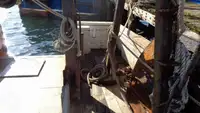Trawler for sale