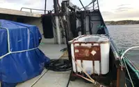 Trawler for sale