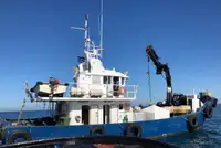 Workboats for sale