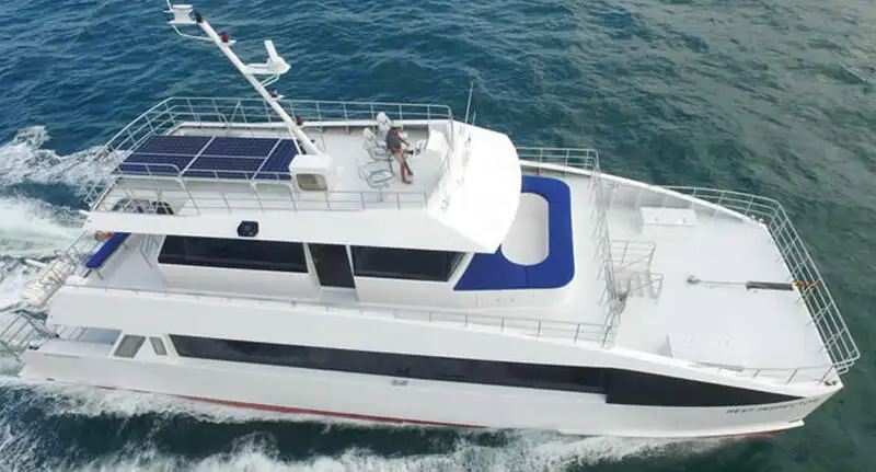Catamaran for sale